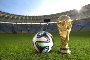 2026世界盃最新消息-字母哥十五季高光征服芝加哥，公牛球迷沸腾